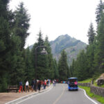 1495d9c3275aa715e3c08784bc76dd1c