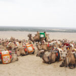 54682e5aff2236465700663da0fc6bac