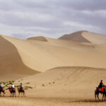 8c8eb4a70259298a32a6ab4117a467df